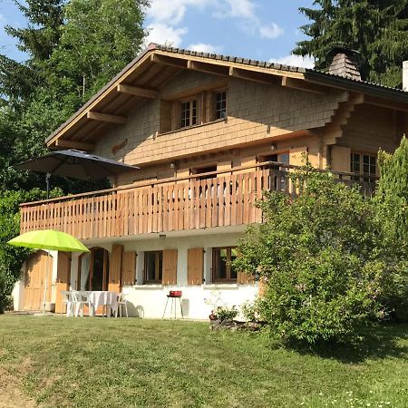 Chalet Les Marmottes Saint-Jean-de-Sixt Esterno foto