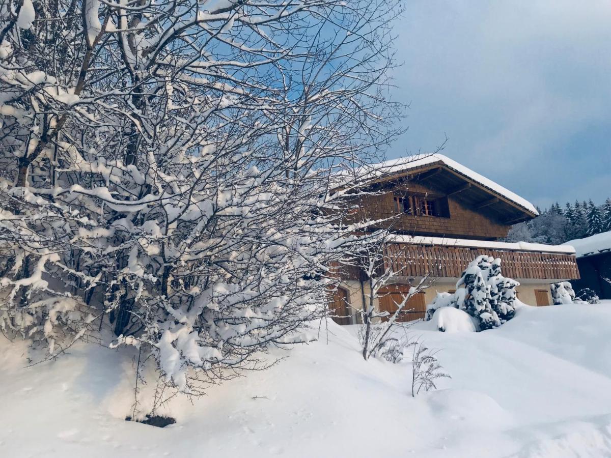 Chalet Les Marmottes Saint-Jean-de-Sixt Esterno foto